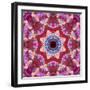 Mandala from Flowers-Alaya Gadeh-Framed Photographic Print