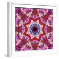 Mandala from Flowers-Alaya Gadeh-Framed Photographic Print