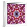 Mandala from Flowers-Alaya Gadeh-Framed Photographic Print