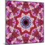 Mandala from Flowers-Alaya Gadeh-Mounted Photographic Print