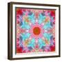 Mandala from Flowers-Alaya Gadeh-Framed Photographic Print