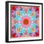 Mandala from Flowers-Alaya Gadeh-Framed Photographic Print