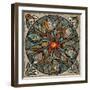 Mandala Ibis-Mindy Sommers-Framed Giclee Print