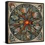 Mandala Ibis-Mindy Sommers-Framed Stretched Canvas