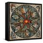 Mandala Ibis-Mindy Sommers-Framed Stretched Canvas