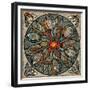 Mandala Ibis-Mindy Sommers-Framed Giclee Print
