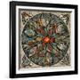 Mandala Ibis-Mindy Sommers-Framed Giclee Print