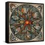 Mandala Ibis-Mindy Sommers-Framed Stretched Canvas