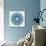 Mandala in Blue-Cat Coquillette-Giclee Print displayed on a wall