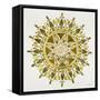 Mandala in Gold-Cat Coquillette-Framed Stretched Canvas