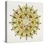 Mandala in Gold-Cat Coquillette-Stretched Canvas