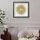 Mandala in Gold-Cat Coquillette-Framed Giclee Print displayed on a wall