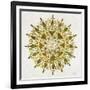 Mandala in Gold-Cat Coquillette-Framed Giclee Print