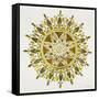 Mandala in Gold-Cat Coquillette-Framed Stretched Canvas