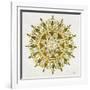 Mandala in Gold-Cat Coquillette-Framed Giclee Print