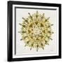 Mandala in Gold-Cat Coquillette-Framed Giclee Print