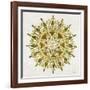 Mandala in Gold-Cat Coquillette-Framed Giclee Print
