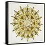 Mandala in Gold-Cat Coquillette-Framed Stretched Canvas