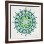 Mandala in Green-Cat Coquillette-Framed Giclee Print