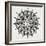 Mandala in Grey-Cat Coquillette-Framed Giclee Print