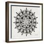 Mandala in Grey-Cat Coquillette-Framed Giclee Print