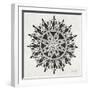 Mandala in Grey-Cat Coquillette-Framed Giclee Print