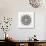 Mandala in Grey-Cat Coquillette-Giclee Print displayed on a wall