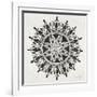 Mandala in Grey-Cat Coquillette-Framed Giclee Print