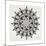 Mandala in Grey-Cat Coquillette-Mounted Giclee Print