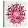 Mandala in Maroon-Cat Coquillette-Stretched Canvas