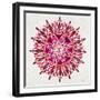 Mandala in Maroon-Cat Coquillette-Framed Giclee Print