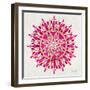 Mandala in Pink and Gold-Cat Coquillette-Framed Giclee Print