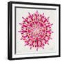 Mandala in Pink and Gold-Cat Coquillette-Framed Giclee Print