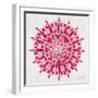 Mandala in Pink and Gold-Cat Coquillette-Framed Giclee Print