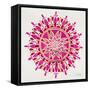 Mandala in Pink and Gold-Cat Coquillette-Framed Stretched Canvas