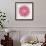 Mandala in Pink and Gold-Cat Coquillette-Framed Giclee Print displayed on a wall