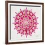 Mandala in Pink and Gold-Cat Coquillette-Framed Giclee Print