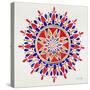 Mandala in Red and Navy-Cat Coquillette-Stretched Canvas