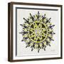 Mandala in Yellow and Black-Cat Coquillette-Framed Giclee Print