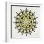 Mandala in Yellow and Black-Cat Coquillette-Framed Giclee Print