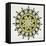 Mandala in Yellow and Black-Cat Coquillette-Framed Stretched Canvas