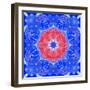 Mandala of Flower Photographies and Textures-Alaya Gadeh-Framed Photographic Print