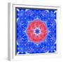 Mandala of Flower Photographies and Textures-Alaya Gadeh-Framed Photographic Print