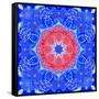 Mandala of Flower Photographies and Textures-Alaya Gadeh-Framed Stretched Canvas