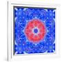 Mandala of Flower Photographies and Textures-Alaya Gadeh-Framed Photographic Print