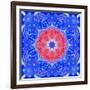 Mandala of Flower Photographies and Textures-Alaya Gadeh-Framed Photographic Print