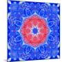 Mandala of Flower Photographies and Textures-Alaya Gadeh-Mounted Photographic Print