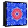 Mandala of Flower Photographies and Textures-Alaya Gadeh-Framed Stretched Canvas