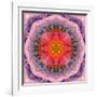 Mandala of Flower Photographies-Alaya Gadeh-Framed Photographic Print