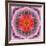 Mandala of Flower Photographies-Alaya Gadeh-Framed Photographic Print